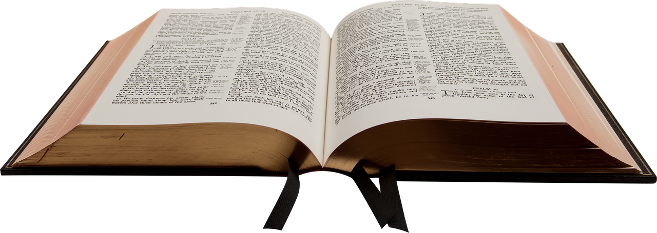 Bibel3