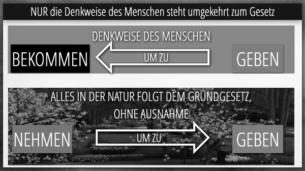 Denkweise Mensch